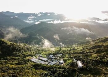 Internacionales: Pulso Global