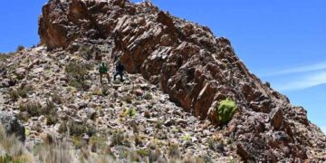 Bolivia: BP Silver Tesoro de Plata