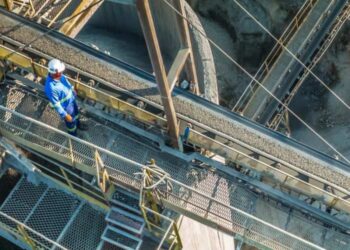 Brasil: Jaguar Salto Dorado