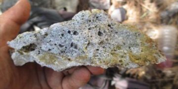 México: Mammoth Oro Puro