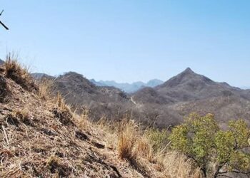 México: Sinaloa Plata Pura