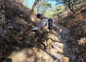 México: Plata Extrema