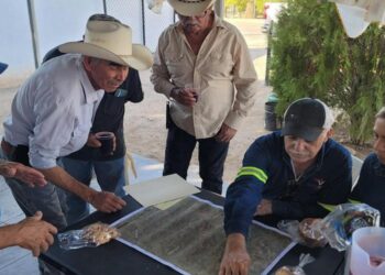 México: Tocvan Oro Total