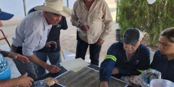 México: Tocvan Oro Total