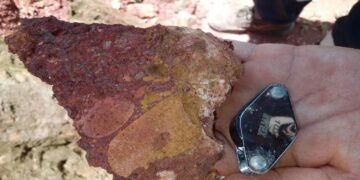 Brasil: Atlas El Contraataque