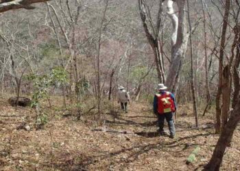 México: Riverside Oro Directo