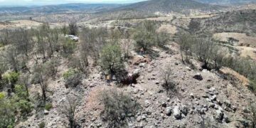 México: Cerro del Gallo Oro y Plata