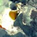 Imagen satelital de un salar blanco con pozas de evaporación de tonos ocres y naranjas, rodeado de montañas oscuras.
