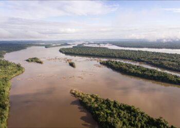 Vista aérea del río Xingu, de aguas color café, con islas cubiertas de selva amazónica y bosque denso en ambas orillas bajo un cielo parcialmente nublado.